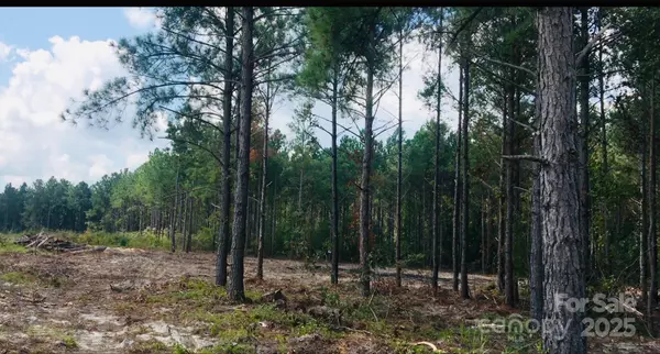 Kershaw, SC 29067,1561 Jones RD