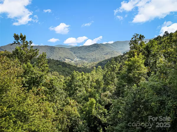 Burnsville, NC 28714,1299 Pine Ridge RD