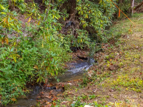 Bryson City, NC 28713,24 Jenkins Branch LN