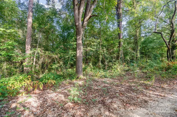 Iron Station, NC 28080,0 Andrew Link RD