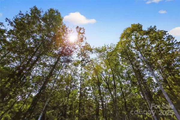 Lake Lure, NC 28746,366 Boland DR