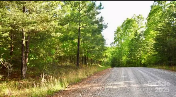 Nebo, NC 28761,TBD Darrow DR #LOT 90