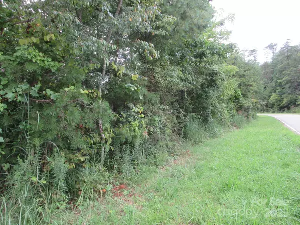 Weaverville, NC 28787,0 Old Burnsville RD