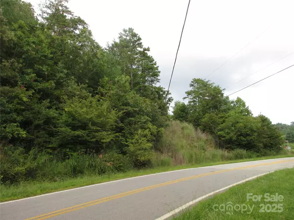 Weaverville, NC 28787,0 Old Burnsville RD