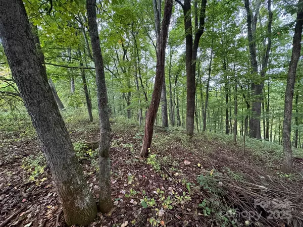 Dobson, NC 27017,00 Red Hill Creek RD