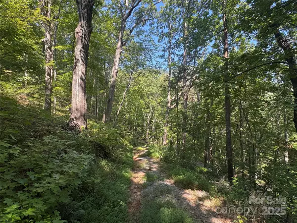 Columbus, NC 28722,396 White Oak Mountain RD #39