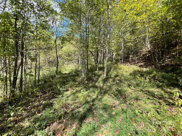 00 Poplar Holler RD, Waynesville, NC 28786