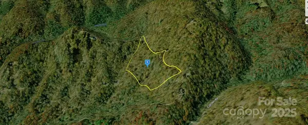 Tuckasegee, NC 28783,14 Forest View LN