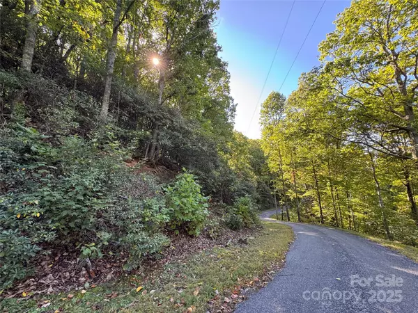Fairview, NC 28730,999 Red Oak Forest RD
