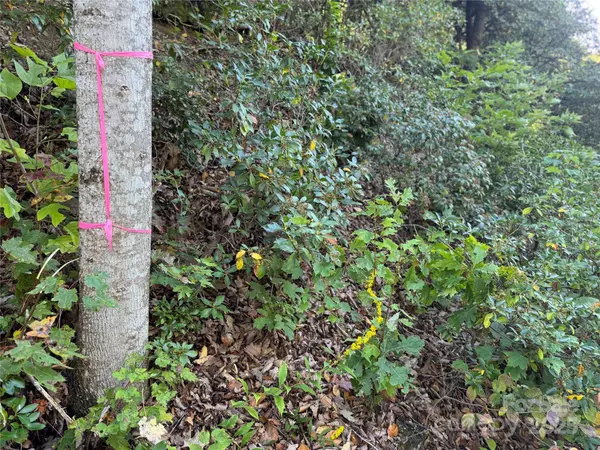 Fairview, NC 28730,999 Red Oak Forest RD