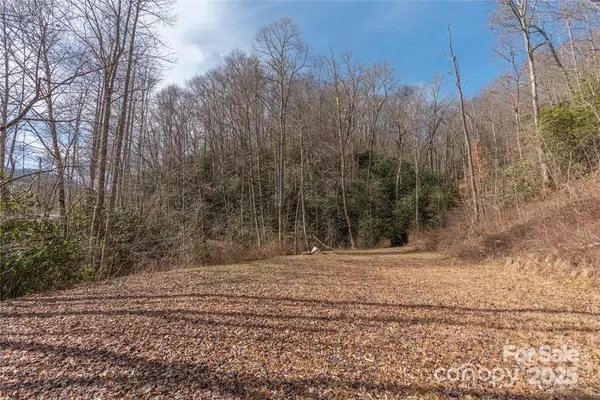 Cullowhee, NC 28723,2220 (Tract 1) Tilley Creek RD