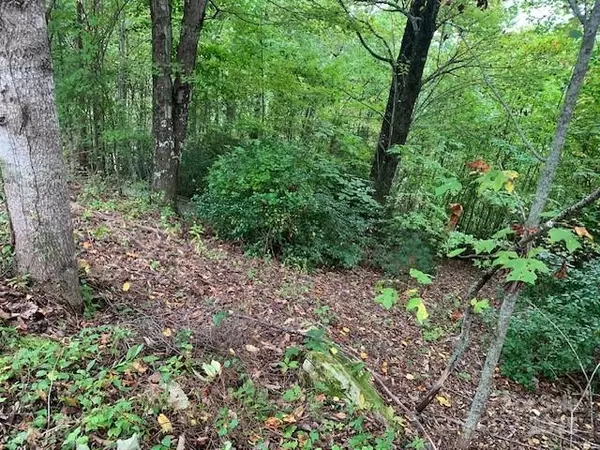 Laurel Park, NC 28739,105 CROSSVINE TRL #15