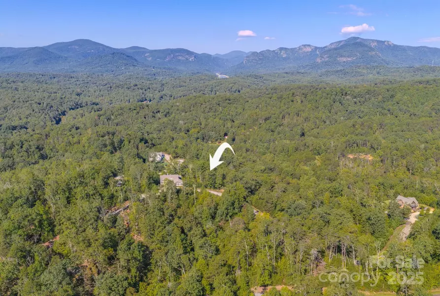 0 Willow Top LN #332, Lake Lure, NC 28746