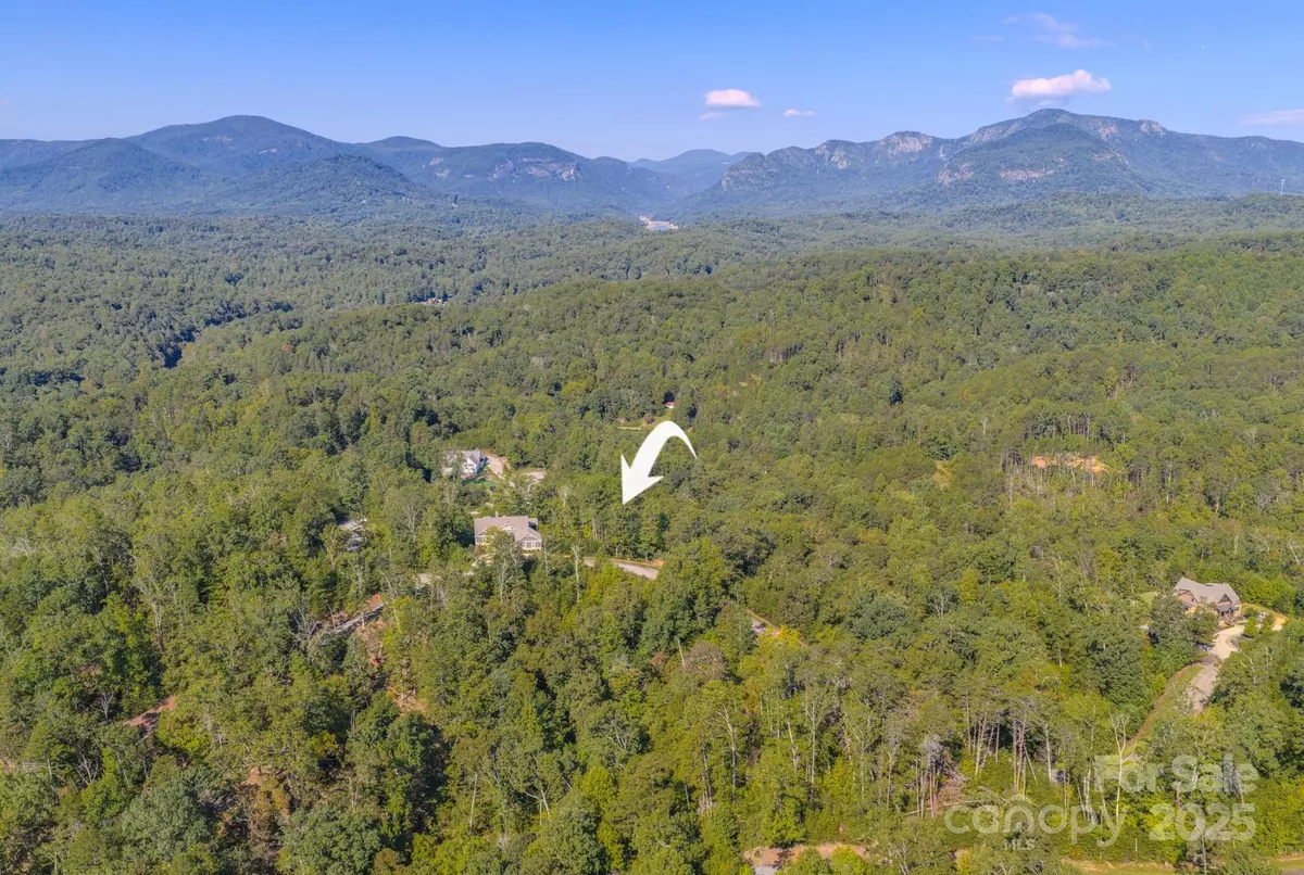 Lake Lure, NC 28746,0 Willow Top LN #332