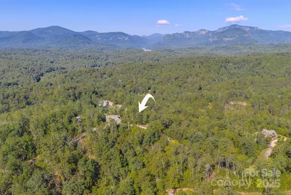 0 Willow Top LN #332, Lake Lure, NC 28746