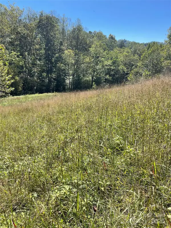 Marshall, NC 28753,1305 Riddle Farm RD