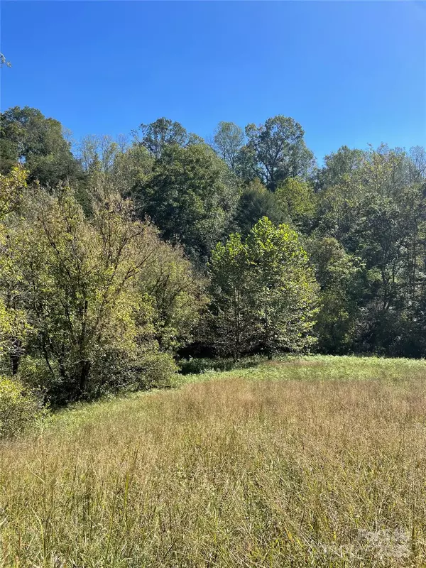 Marshall, NC 28753,1305 Riddle Farm RD