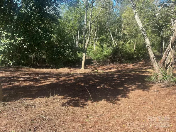 1 View ST #5, Portion 3, Woodfin, NC 28804