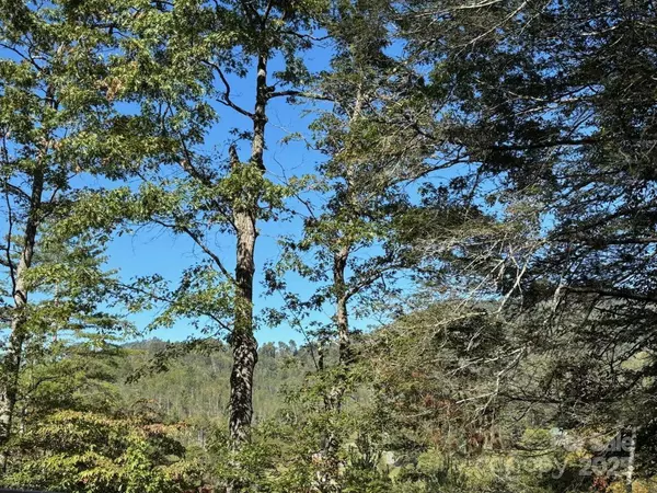 Bakersville, NC 28705,493 Spring Hill RD