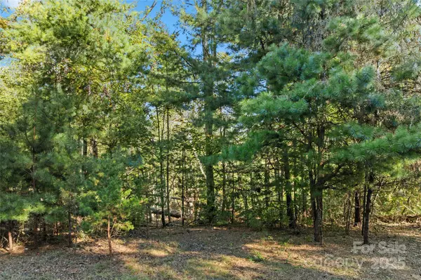 Asheville, NC 28803,0 Cedar Hill DR #24