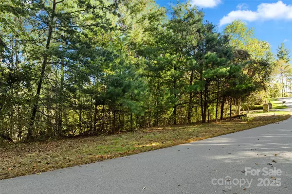 Asheville, NC 28803,0 Cedar Hill DR #24