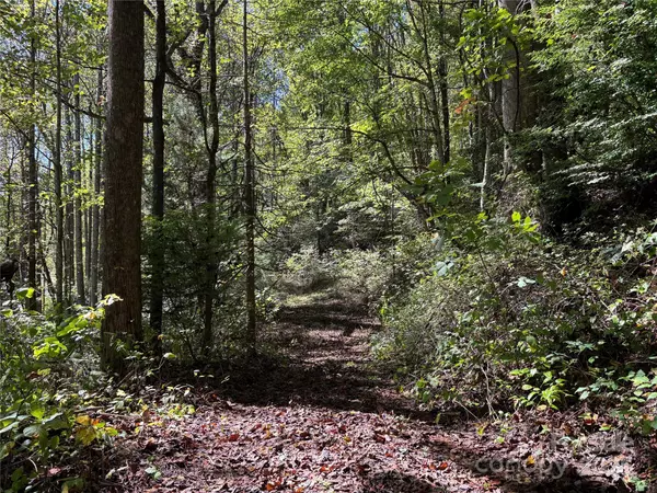 Sylva, NC 28779,TBD Happy Ridge LN