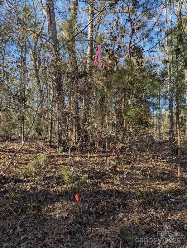 New London, NC 28127,131 Stormy CT #21