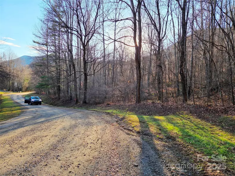 123 Live Oak LOOP #29, Waynesville, NC 28785