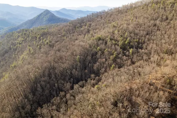 Franklin, NC 28734,0 Moss Ridge RD