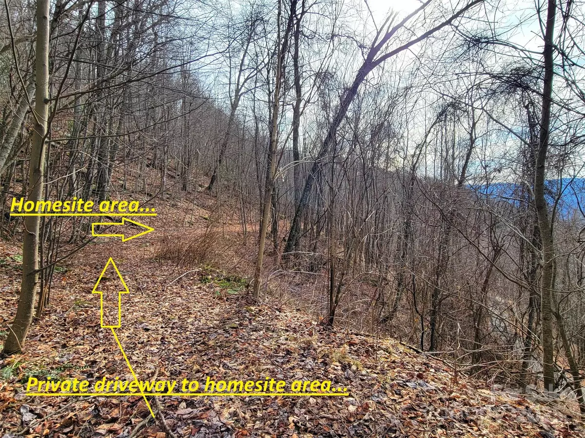 Clyde, NC 28721,75 Rimrock RDG #I