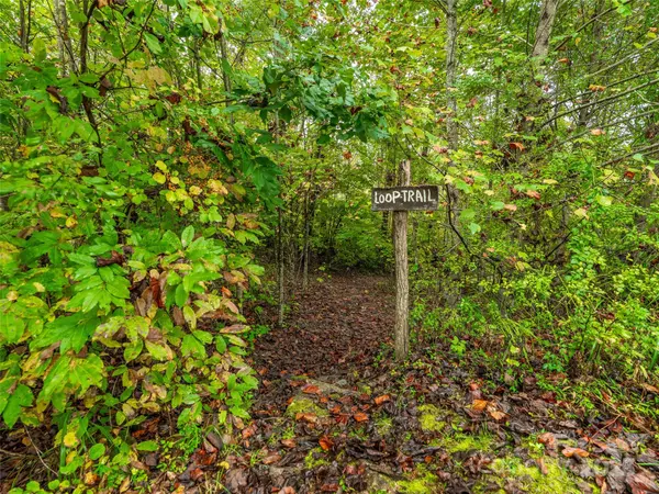 Hendersonville, NC 28791,332 Millbrae LOOP