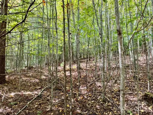 Hendersonville, NC 28739,Lots 37 & 38 Settlers Ridge RD