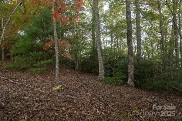 Brevard, NC 28712,TBD Pine Mountain TRL #M8