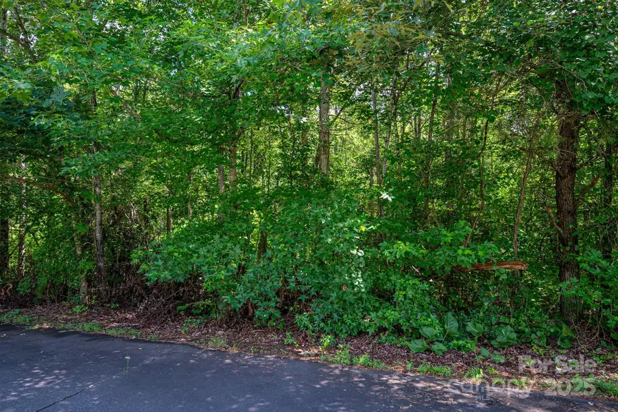 Lot 32 Line DR, Forest City, NC 28043