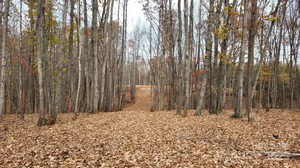 1056 Stephens Trail RD, Sandy Ridge, NC 27046