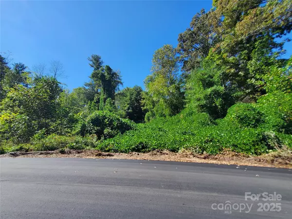 Hendersonville, NC 28739,62 Oscelake WAY
