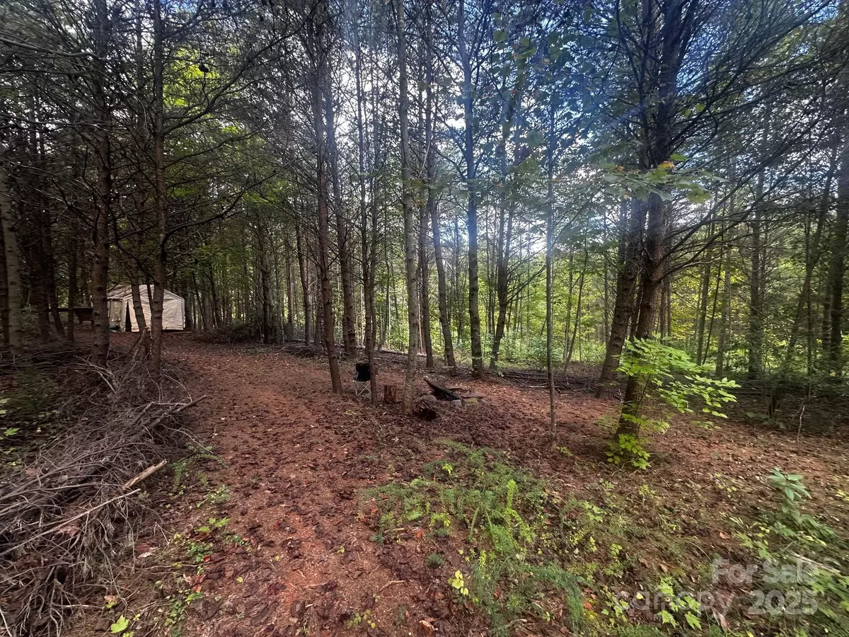 Lake Lure, NC 28746,0 Freemantown RD