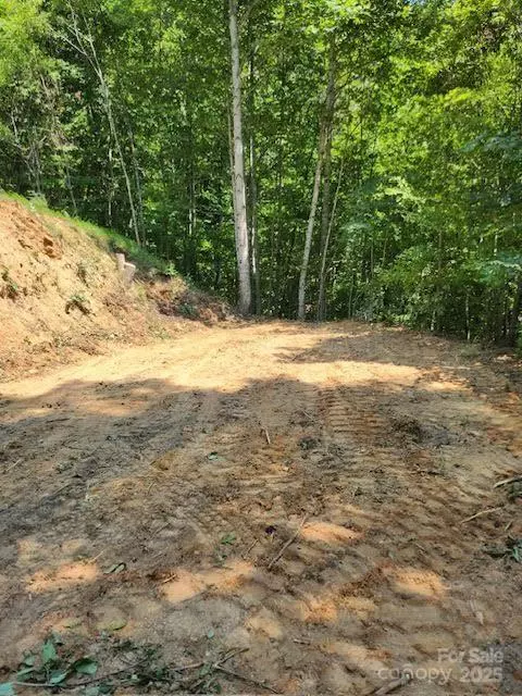 Bryson City, NC 28713,19 Marr HTS #19