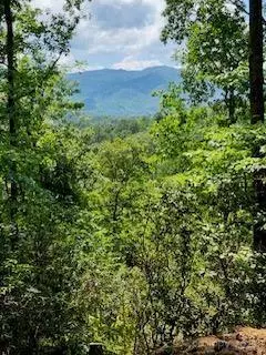 Bryson City, NC 28713,19 Marr HTS #19