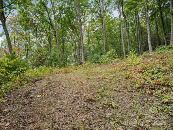 Waynesville, NC 28786,621 Macallan DR #320