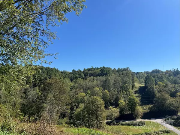 Marshall, NC 28753,32 Bud Swan RD