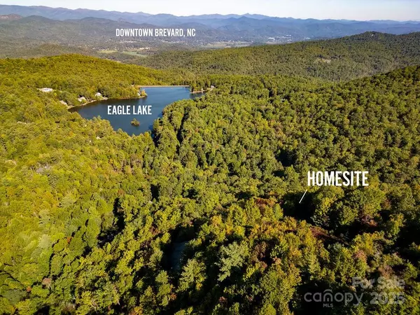 Brevard, NC 28712,TBD Rock Face RD #L299