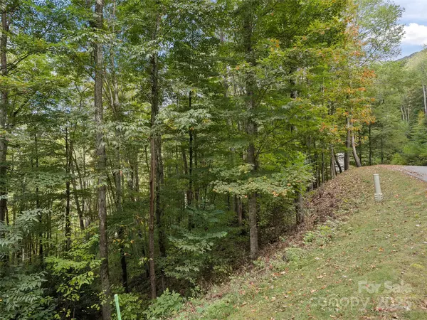 0 Macallan DR #16, Waynesville, NC 28786