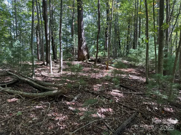 Purlear, NC 28665,TBD Deer Run RD #229