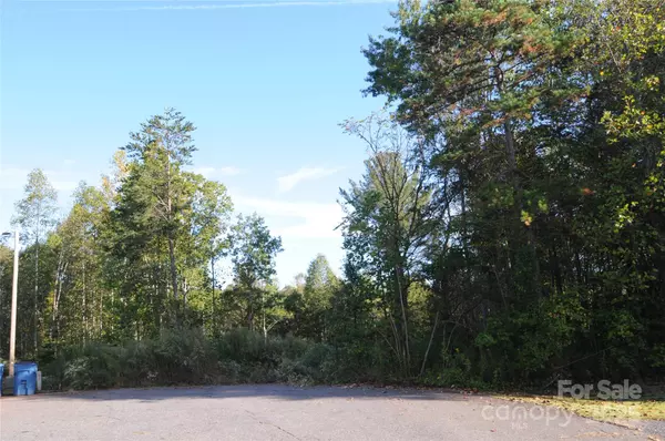 2320 DOBBINS CT, Vale, NC 28168