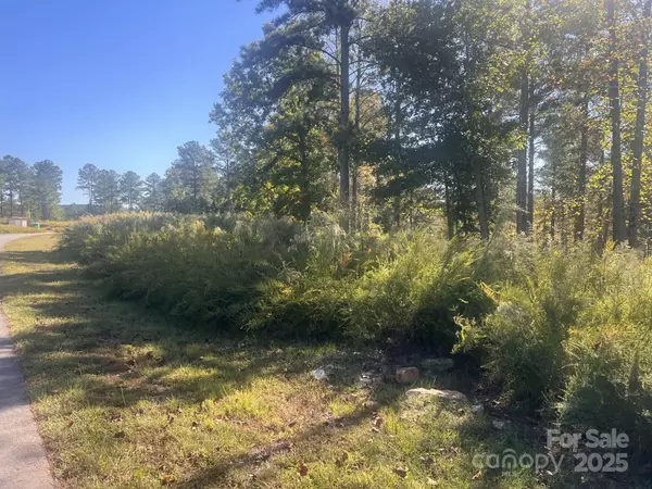 Connelly Springs, NC 28612,2478 Jumping RUN #52