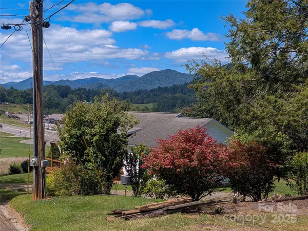 Burnsville, NC 28714,117 River Look DR