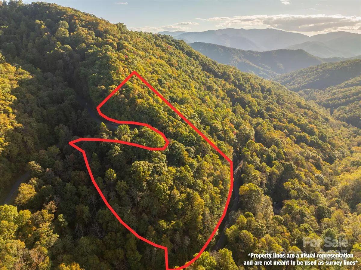 Bryson City, NC 28713,Lot 39 Brush Creek Mountain RD #39