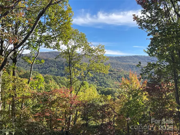 Beech Mountain, NC 28604,225 Oak RD