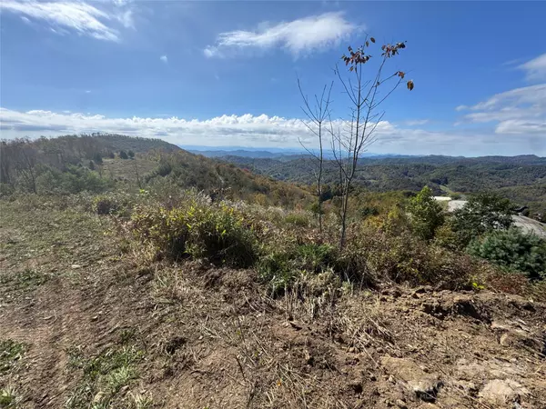 Mars Hill, NC 28754,11 Ridge Top LOOP